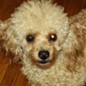 Meet your Posher, Douglas